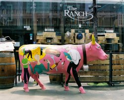 the-ranch-cow.jpg