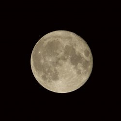 Full Moon 11.2016  31 crp.jpg