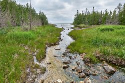 S1000486.jpg S1000486.jpg