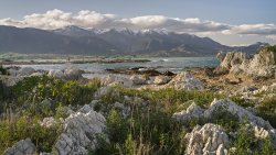 Kaikoura evening II.jpg