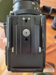IMG_2453 (1).jpg IMG_2453 (1).jpg