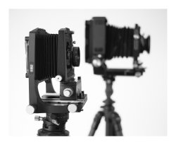 L1000412_web.jpg