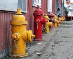 KC0U0717 JPG Fire Hydrants Post Road Cropped ADJ Contrast-CLR P1800.jpg