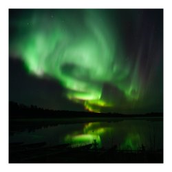 IMG_6205-Enhanced-NR web.jpg