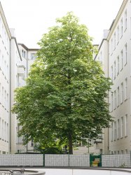 Berlin_Day4_0292-2.jpg Berlin_Day4_0292-2.jpg