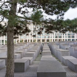 0003295.jpg 0003295.jpg