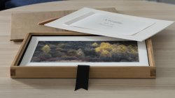 Portfolio Box 2.jpg