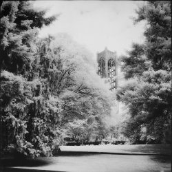 Cathedral_IR_ELM_80Planar_HSIR.jpg