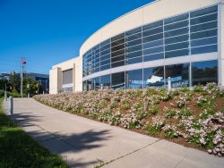 R. de Loe GFXE9477.jpg