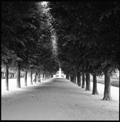 H48009-Edit.jpg H48009-Edit.jpg