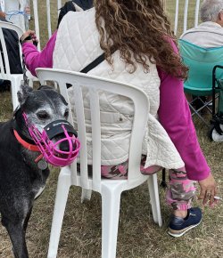 Purple rot2c41200.jpg