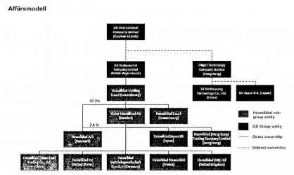 Hasselblad Corporate Organization.png