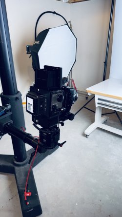 IMG_0696.jpeg IMG_0696.jpeg