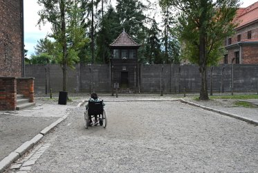 Z6I_0872CR1200.jpg Z6I_0872CR1200.jpg