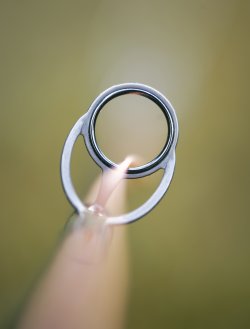 Pentax 120mm test-3.jpg