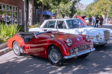 _DSC0231.jpg _DSC0231.jpg