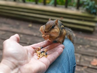 B_0925.jpg B_0925.jpg