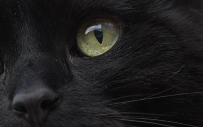 andre_0002.jpg andre_0002.jpg