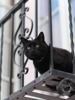 andre_0004.jpg andre_0004.jpg