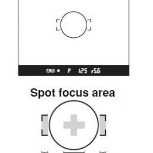 Autofocus Area