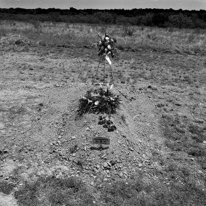 This Is The End - White Lillies And Space