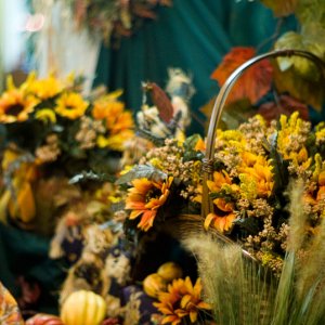 Flowers By Shop Light