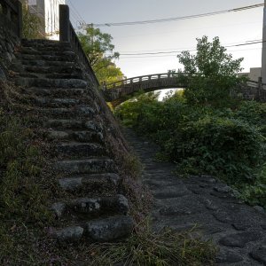 _DS99390_DxO copy-X3.jpg