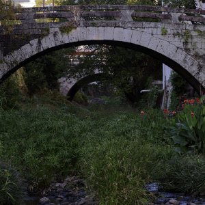 _DS99213_DxO copy-X3.jpg