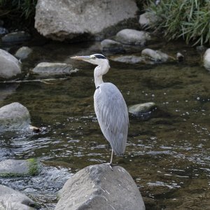 _DS99342_DxO copy-X3.jpg