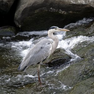 _DS99517_DxO copy-X3.jpg