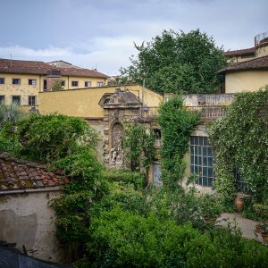 DSC_0665.jpg