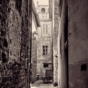DSC_0779_5.jpg