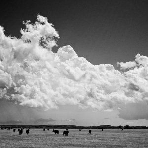 Texas Prairie Storm