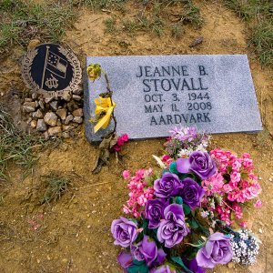 Slowly Closing The Circle...